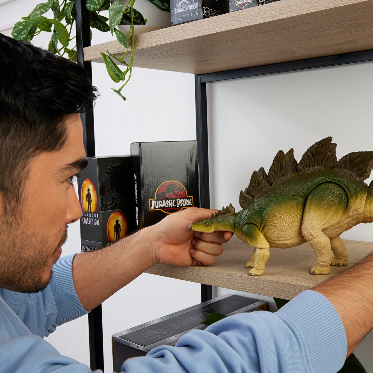 ޥƥ른饷å(JURASSICWORLD)ϥɥ쥯󥹥ƥ륹Ҷե奢εĹ:43.8cm8Ф饰꡼JCH08