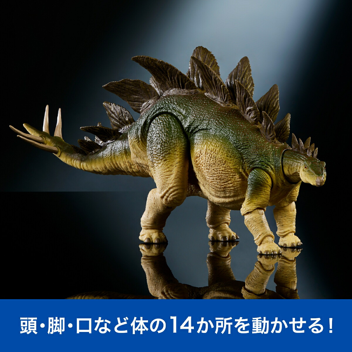 ޥƥ른饷å(JURASSICWORLD)ϥɥ쥯󥹥ƥ륹Ҷե奢εĹ:43.8cm8Ф饰꡼JCH08