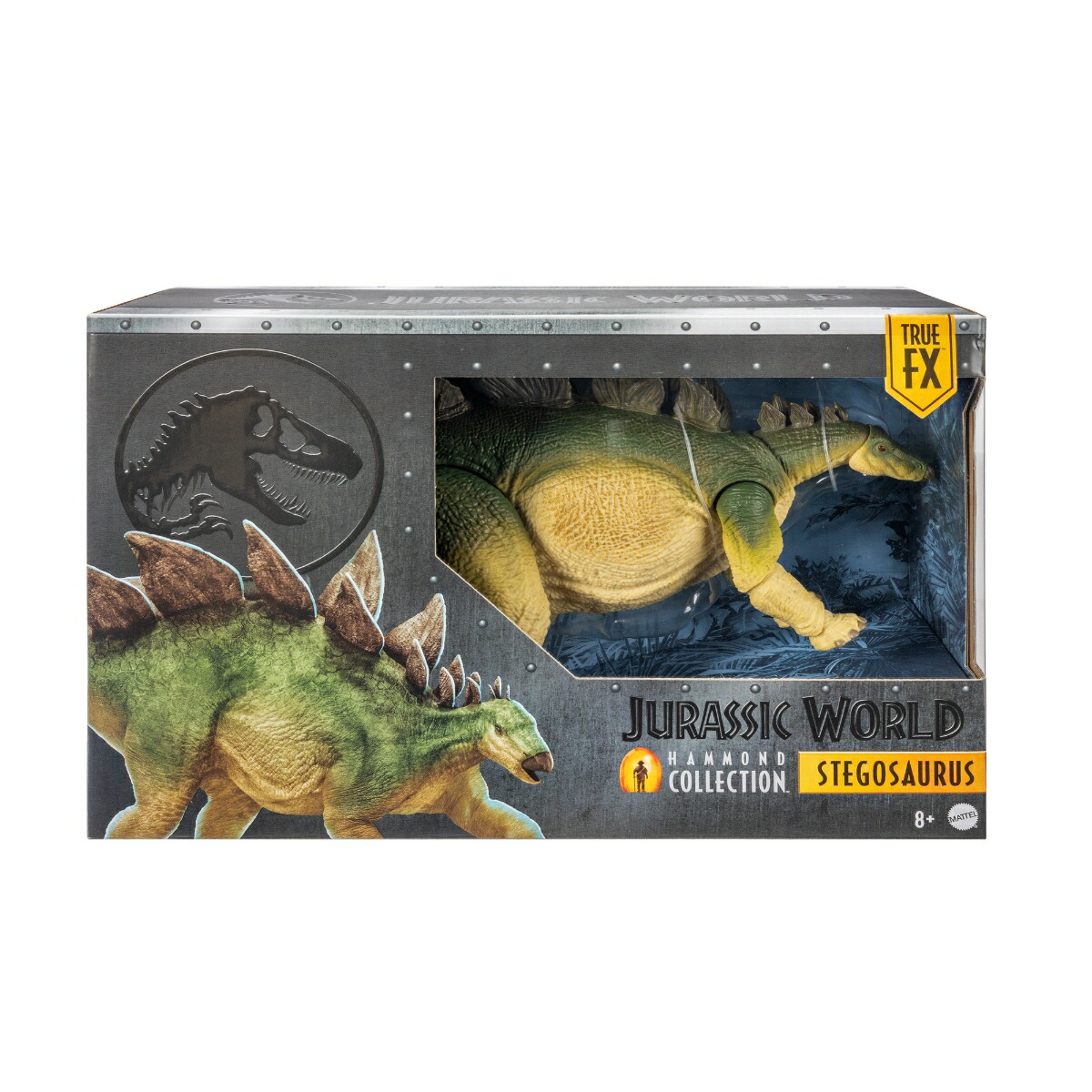 ޥƥ른饷å(JURASSICWORLD)ϥɥ쥯󥹥ƥ륹Ҷե奢εĹ:43.8cm8Ф饰꡼JCH08