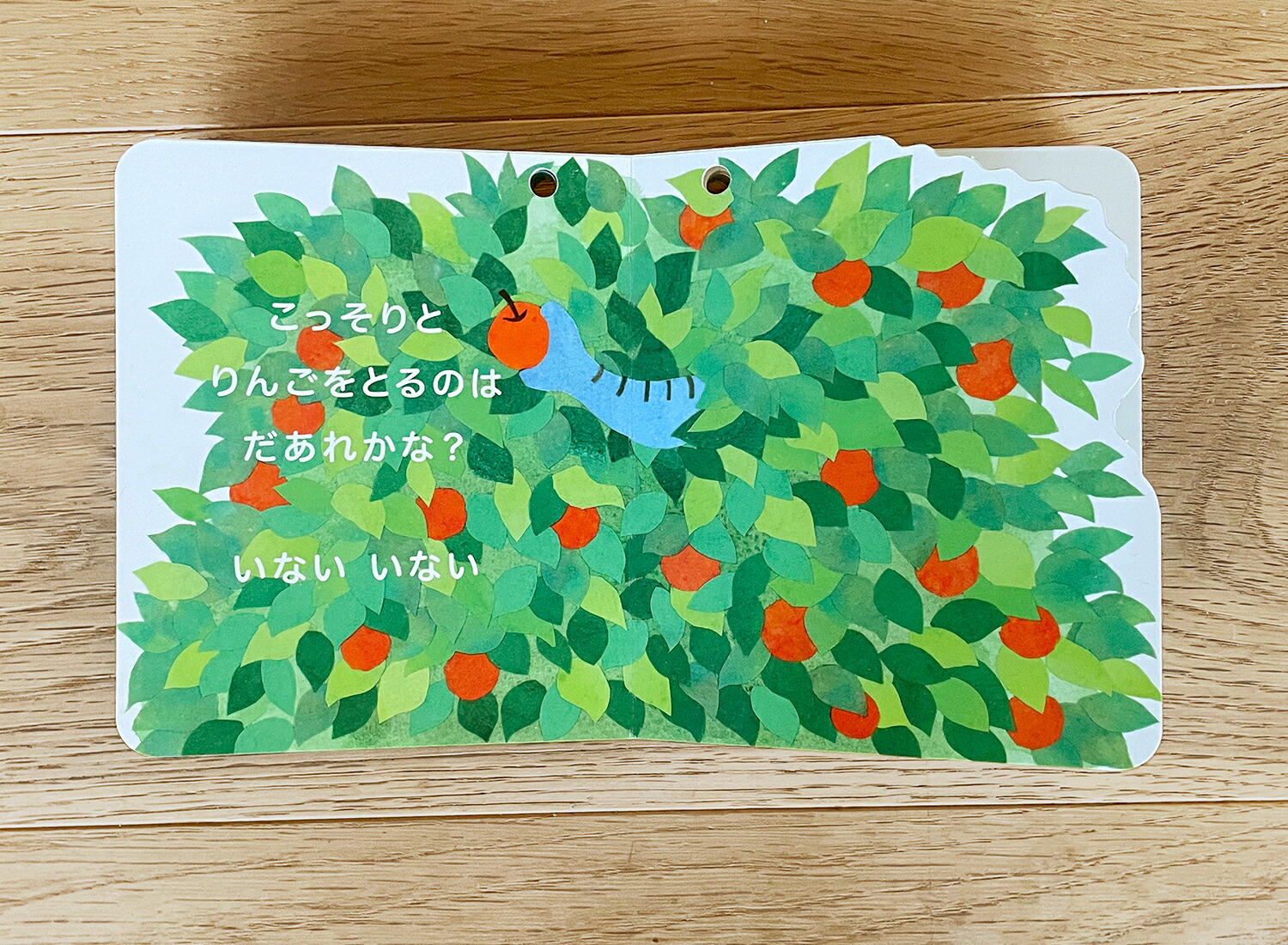 ���ʤ����ʤ��Ф����ʤ������ʤ��ۤ󥷥꡼����[���Τ�������]