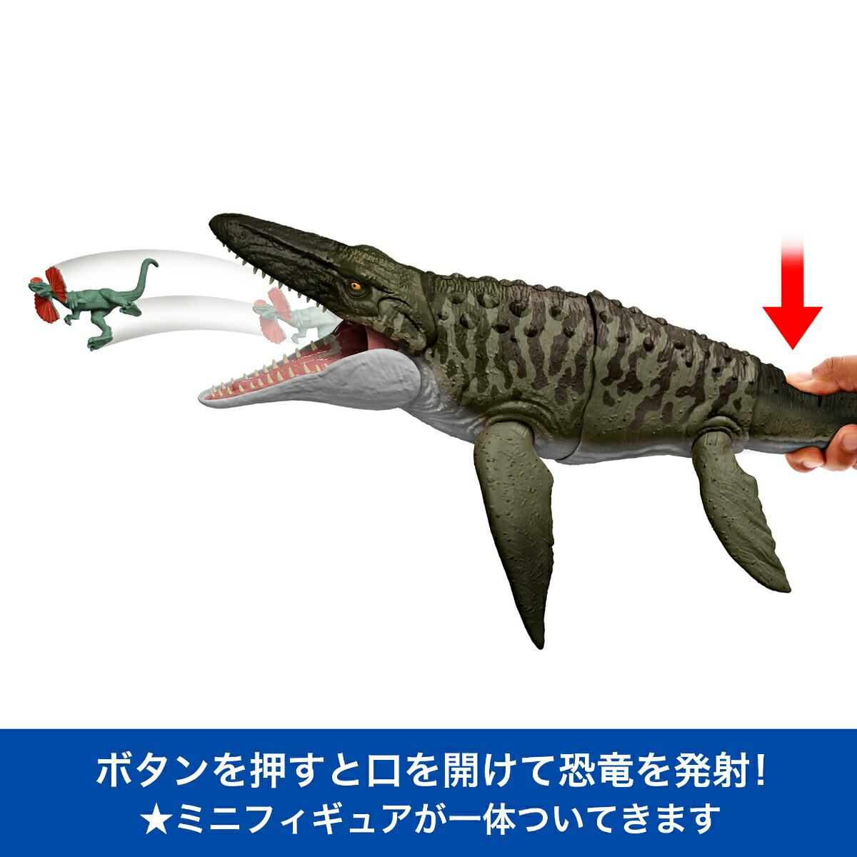 ޥƥ른饷å(JURASSICWORLD)Хȥ륢⥵륹Ҷե奢εĹ:65.4cm4Ф֥饦JCH00