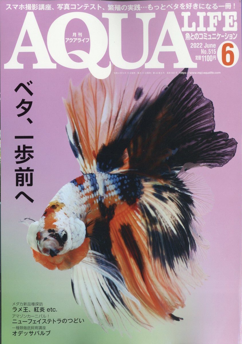 アクアライフ 2022年と2021年5月号 メダカ特集 - 水草育成