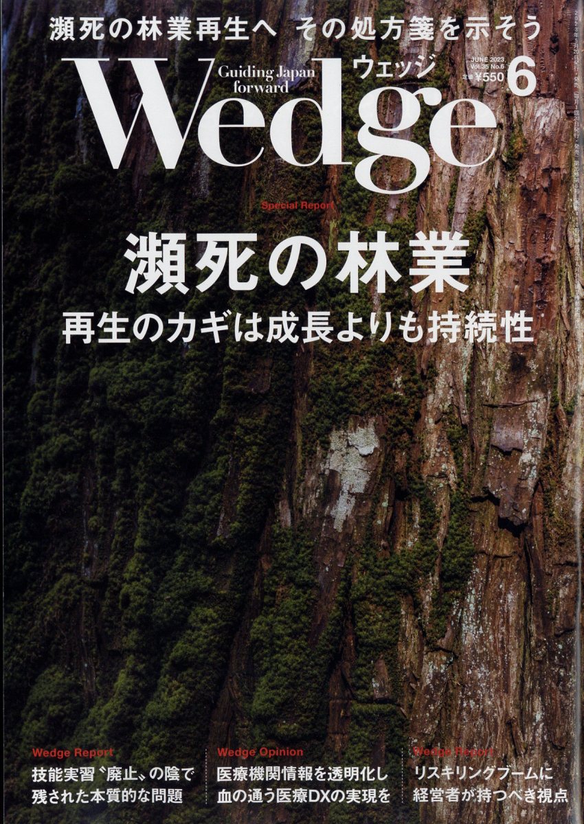Wedge(å)2023ǯ6[]