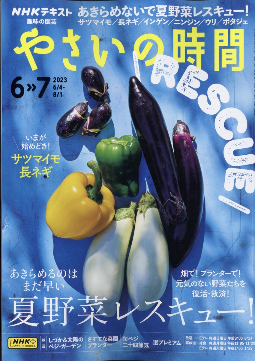 おしゃれ 月刊 食堂 2023年 6月号 雑誌 sogelec.re