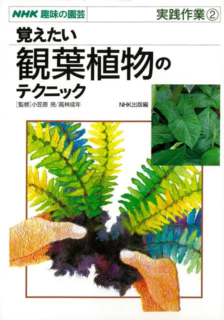 楽天ブックス バーゲン本 覚えたい観葉植物のテクニックー実践作業2 Nhk出版 編 本