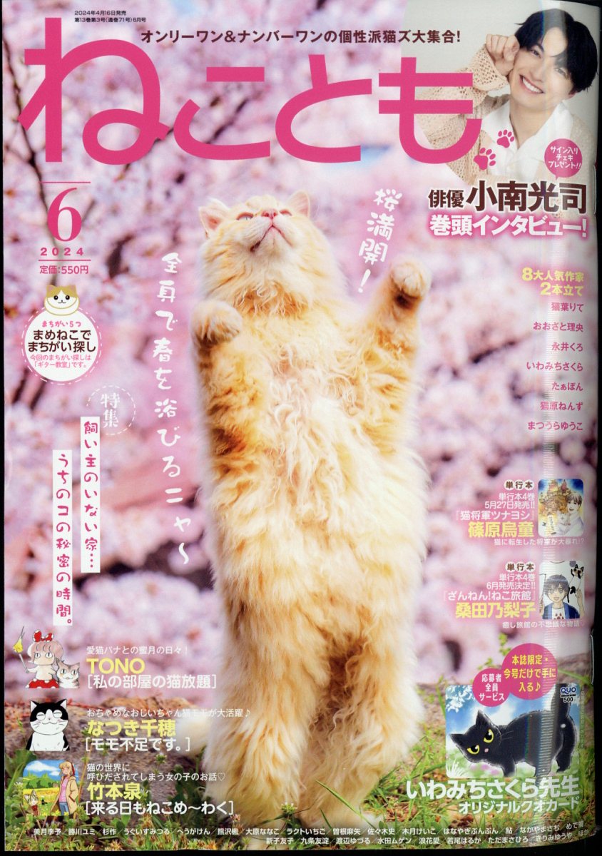 楽天ブックス: ねことも 2024年 6月号 [雑誌] - 大都社 - 4910072290642 : 雑誌