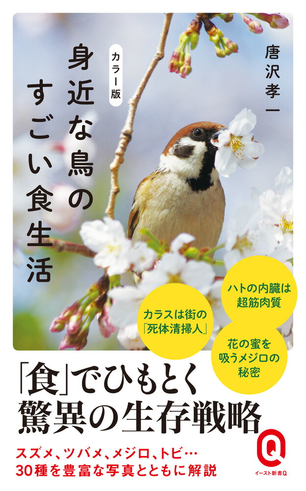 顼ǿȶĻΤʥȿQ[]