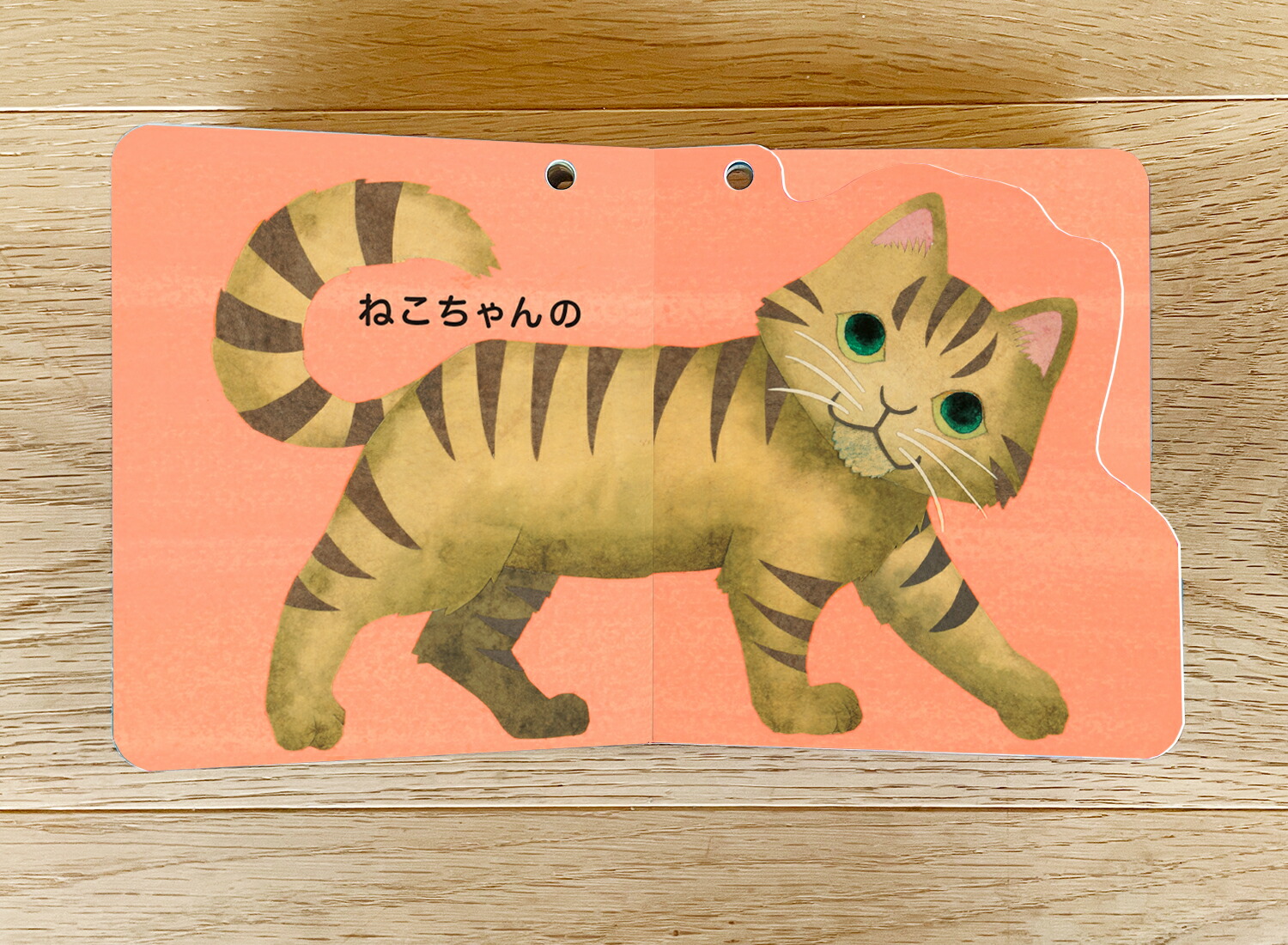 ���������ޤ����ʤ������ʤ��ۤ󥷥꡼����[���Τ�������]