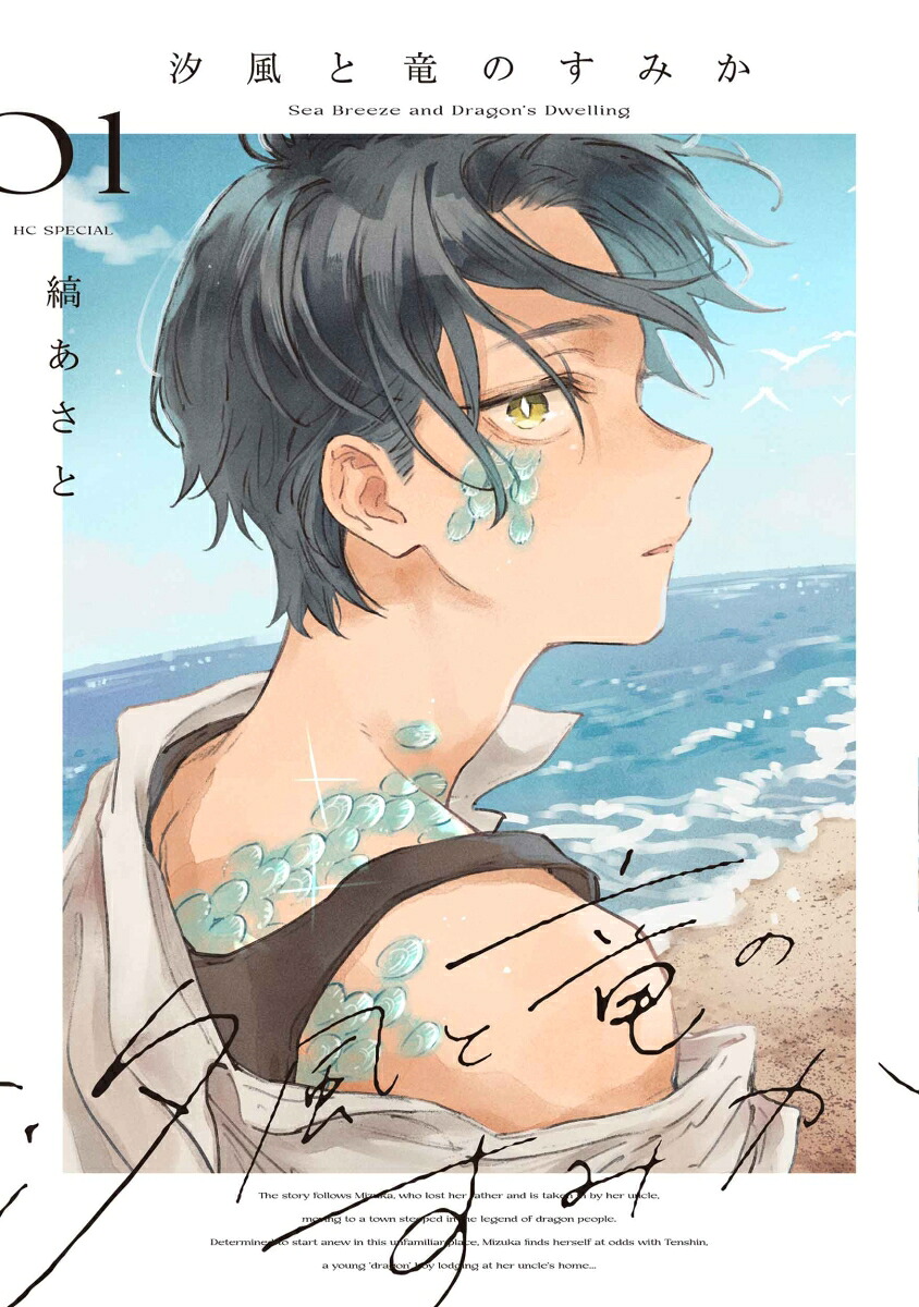 汐風と竜のすみか 1巻表紙