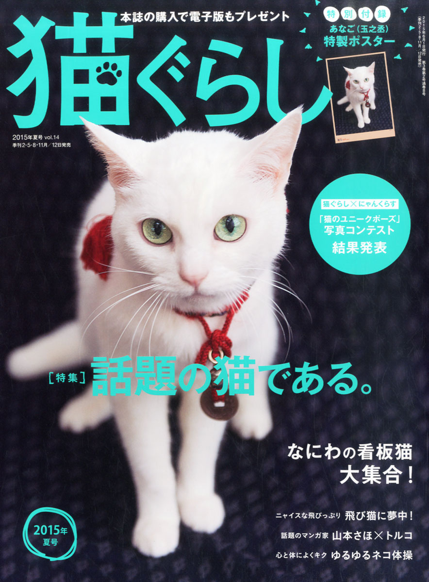 楽天ブックス 猫ぐらし 15年 06月号 雑誌 株 アスペクト 雑誌