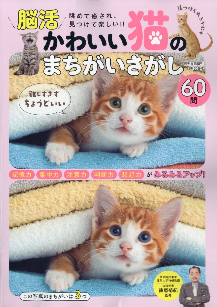 ä襤ǭΤޤ2025ǯ6/30[]