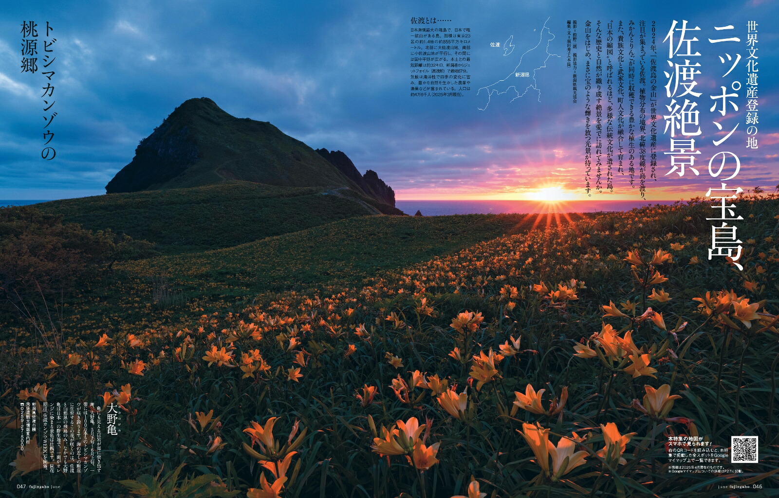 婦人画報2025年6月号[雑誌]