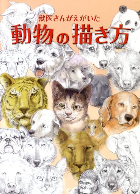 楽天ブックス: 獣医さんがえがいた動物の描き方 - 鈴木真理（獣