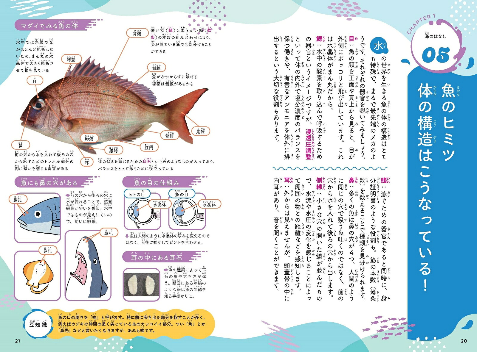 水の世界のひみつがわかる！すごすぎる海の生物の図鑑[鈴木香里武]