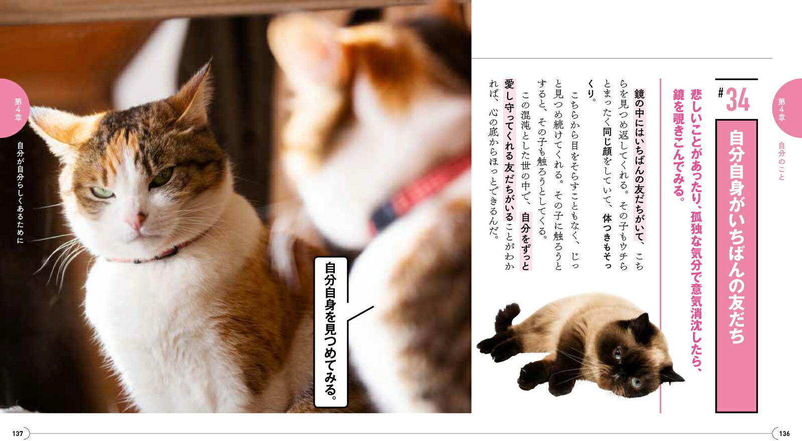ニャンコ流でお気楽人生！猫が教えてくれるストレスフリーな生き方[フランチェスコ・マーシュリアーノ]
