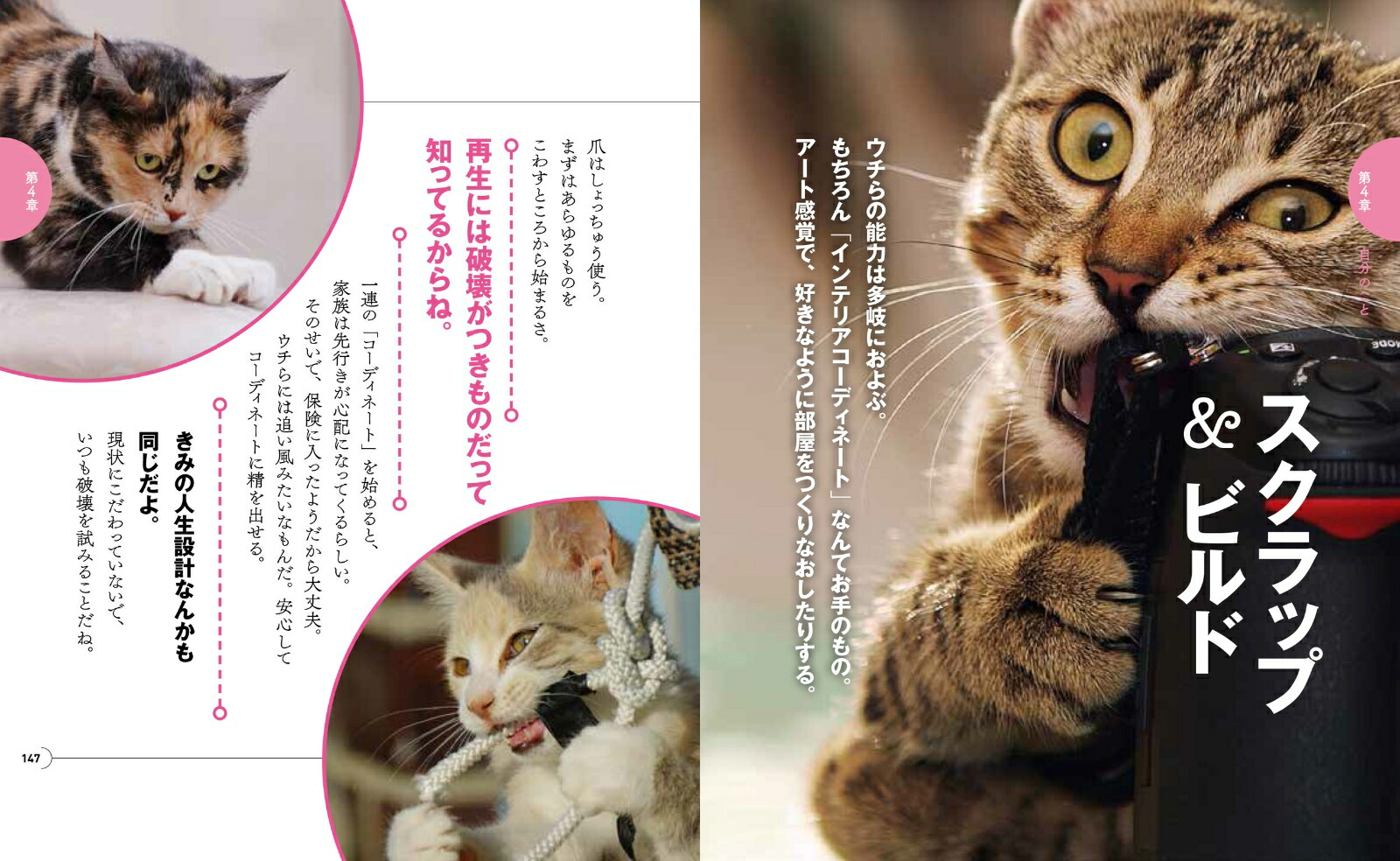 ニャンコ流でお気楽人生！猫が教えてくれるストレスフリーな生き方[フランチェスコ・マーシュリアーノ]