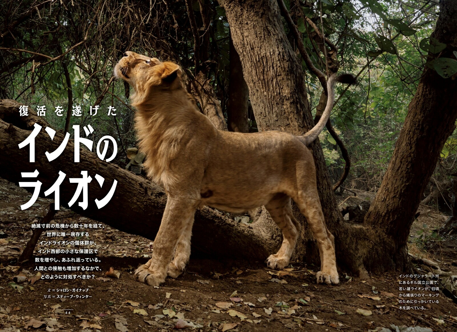NATIONALGEOGRAPHIC(ナショナルジオグラフィック)日本版2026年6月号[雑誌]