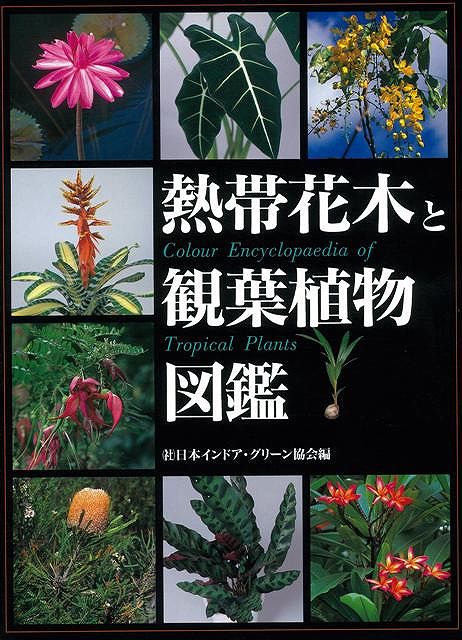 楽天ブックス: 【バーゲン本】熱帯花木と観葉植物図鑑 - 日本インドア