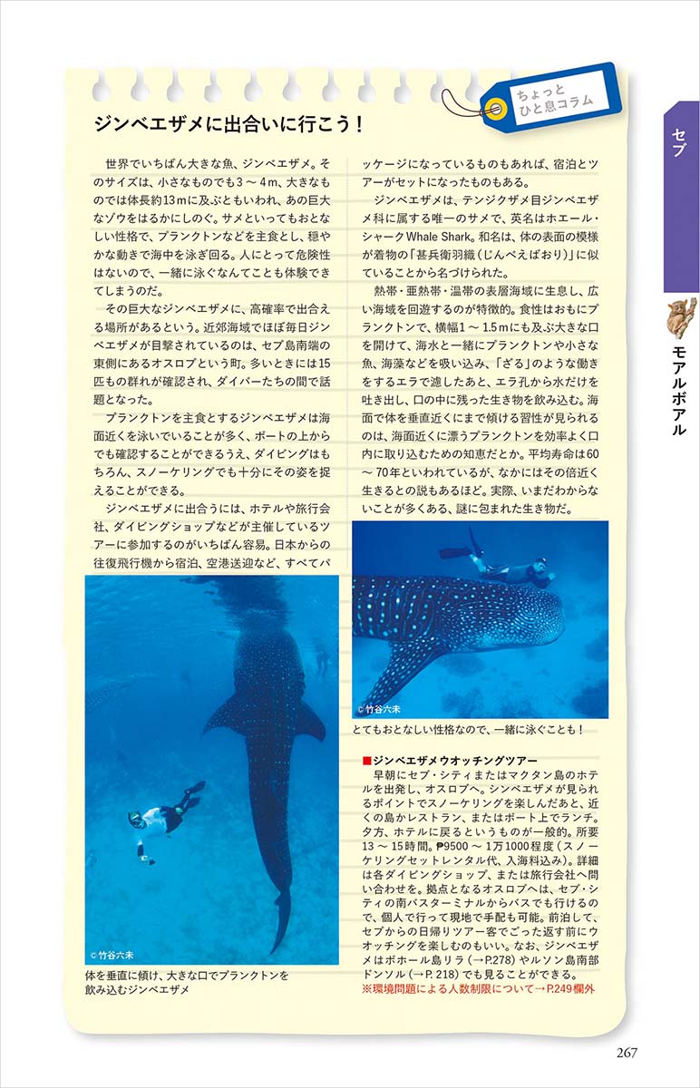D27地球の歩き方フィリピンマニラセブボラカイボホールエルニド2024～2025（地球の歩き方Dアジア）[地球の歩き方編集室]