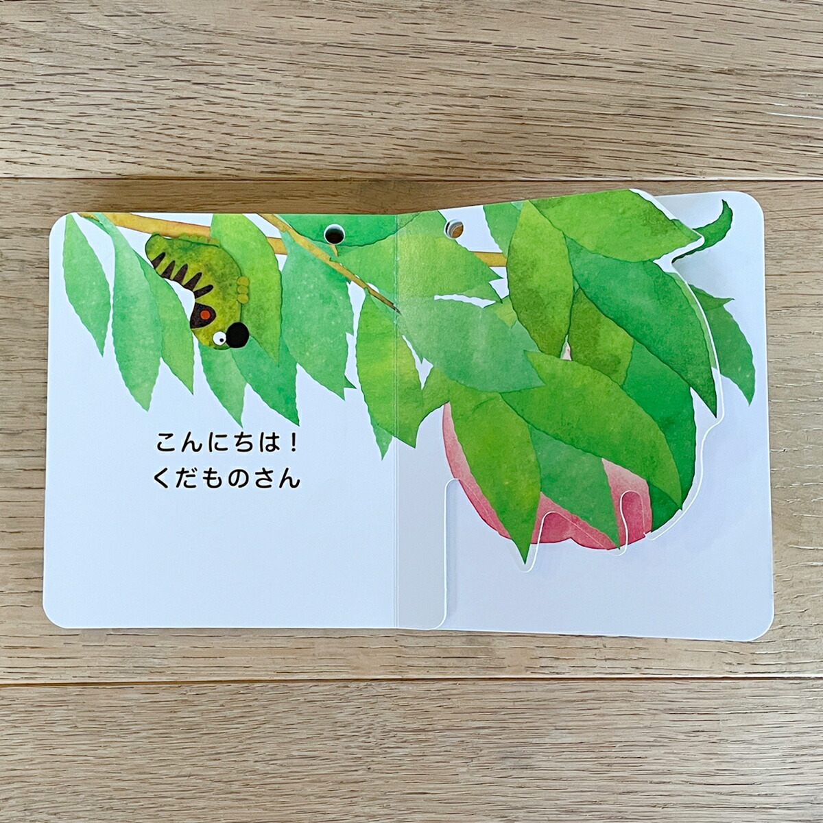 ˤϡΤʤʤۤ󥷥꡼[Τ]