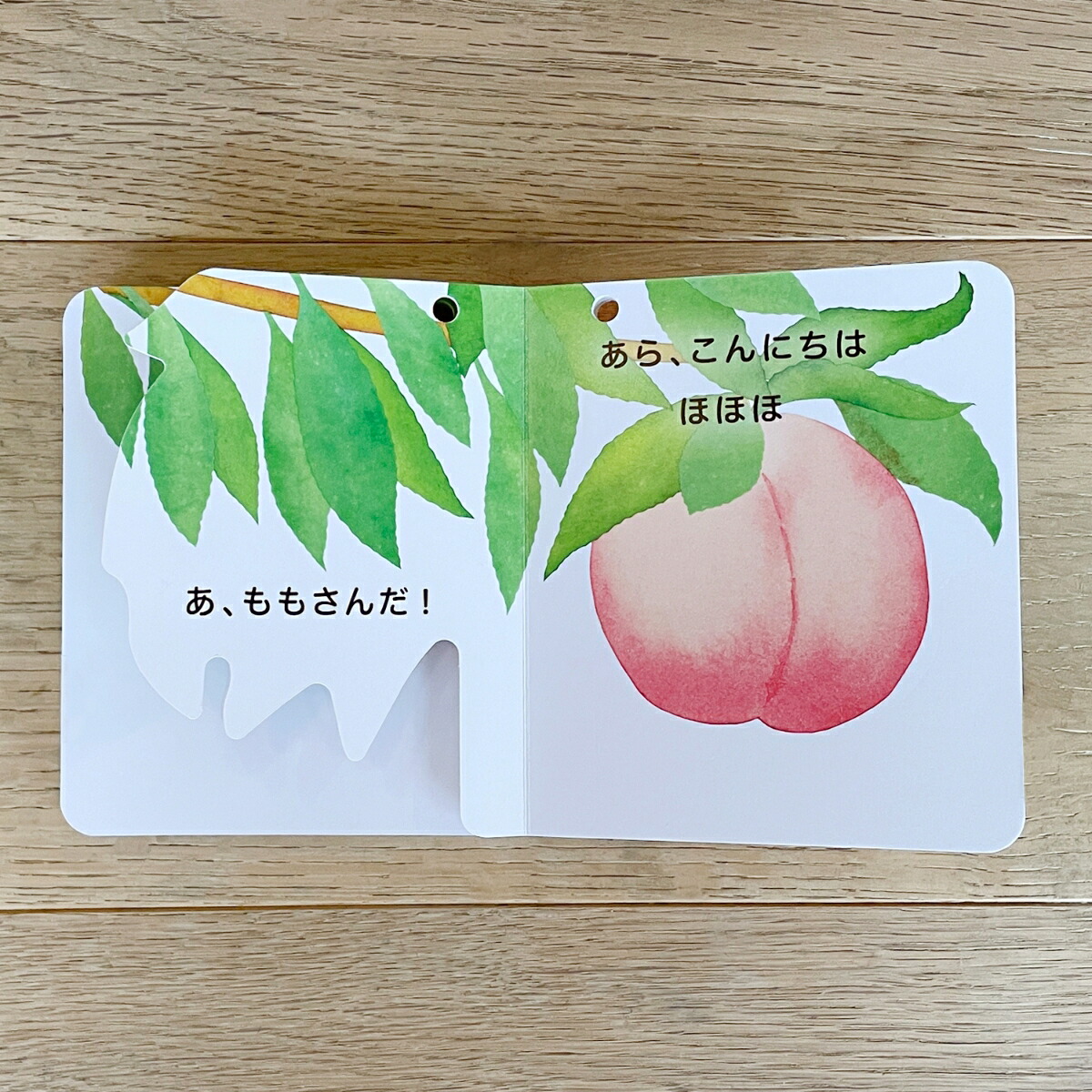 ˤϡΤʤʤۤ󥷥꡼[Τ]