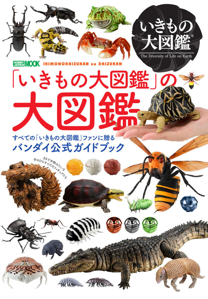 かめ04 いきもの大図鑑 ハコガメ 全5種セット(フルコンプ