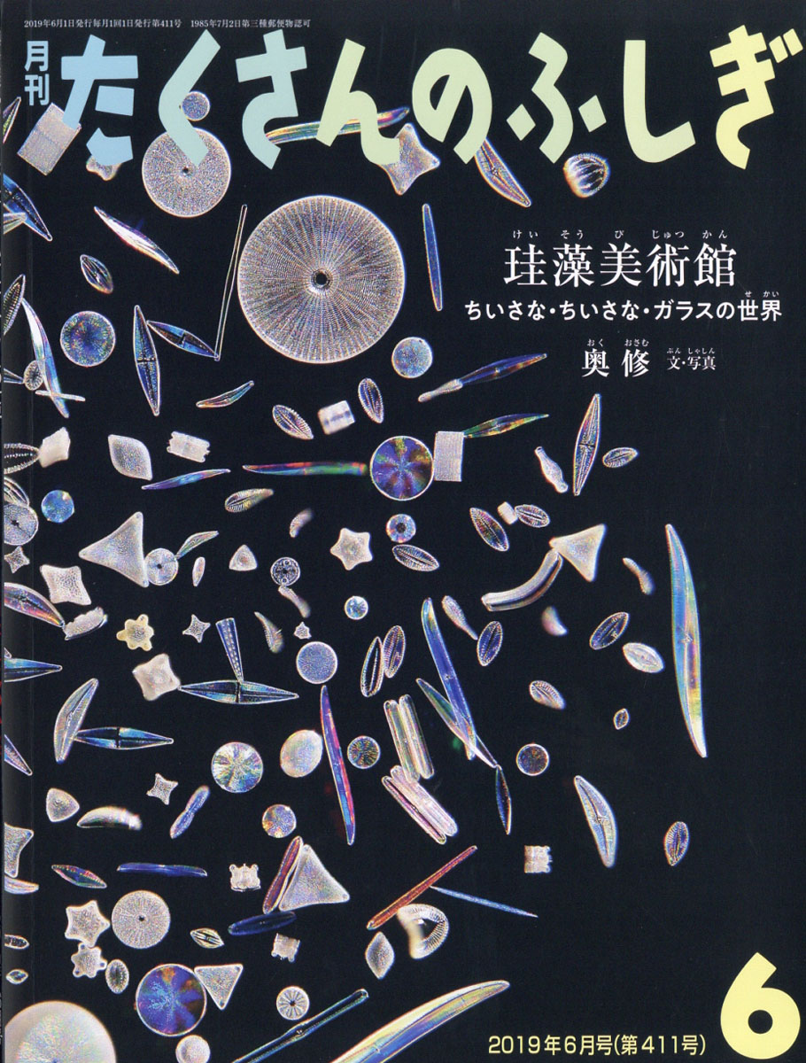 月刊 たくさんのふしぎ 2019年 06月号 [雑誌]