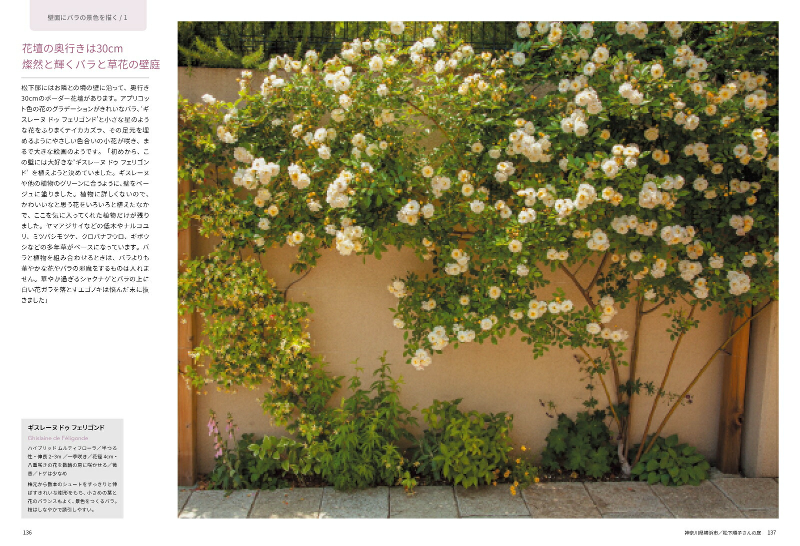 �Х����餹����[Ȭ���]