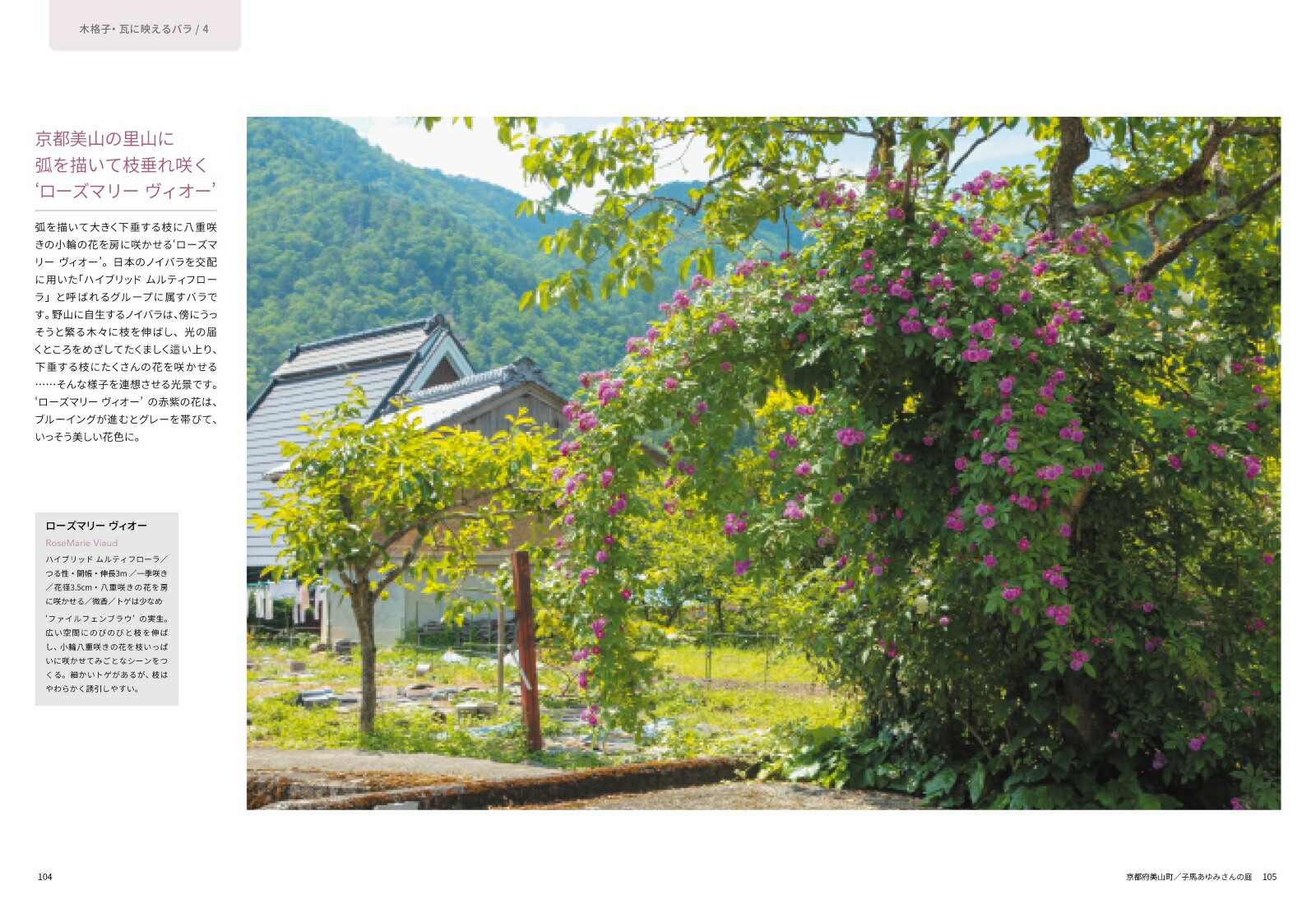 �Х����餹����[Ȭ���]