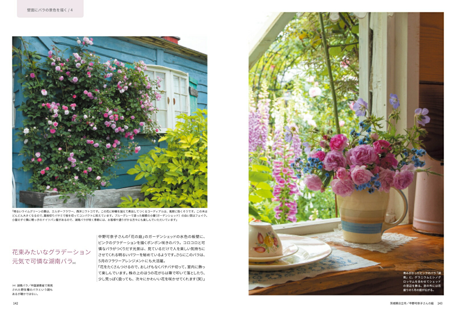 �Х����餹����[Ȭ���]