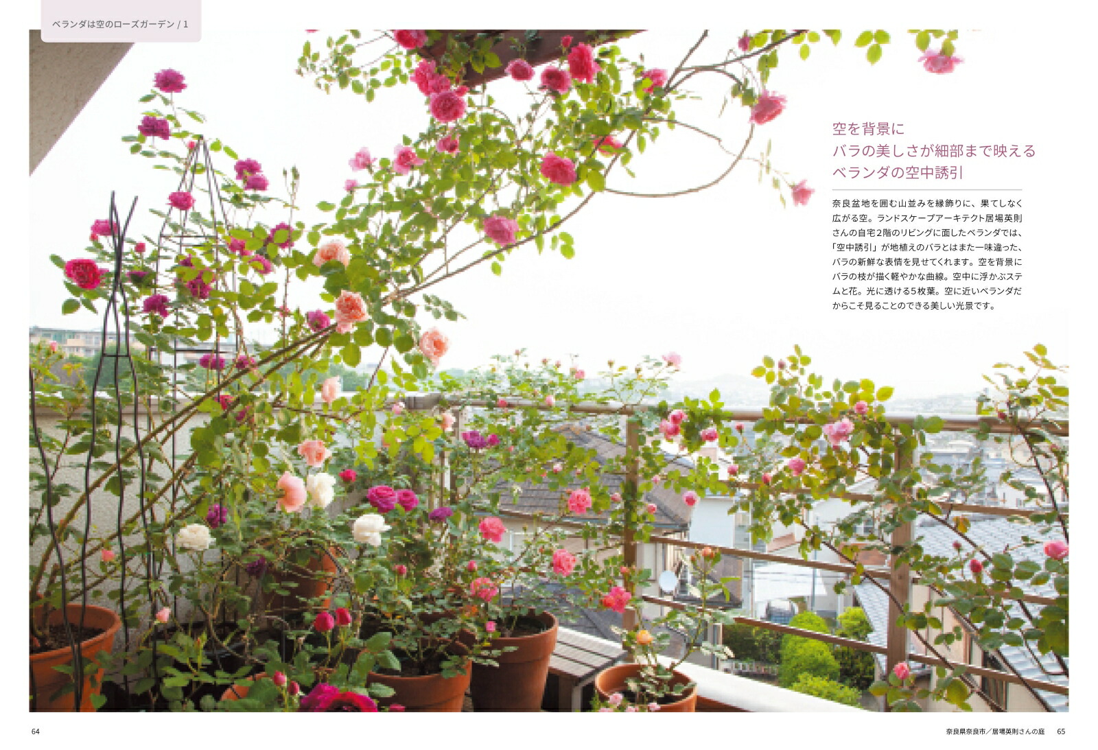 �Х����餹����[Ȭ���]