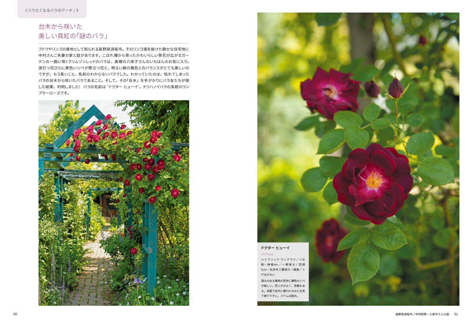 �Х����餹����[Ȭ���]