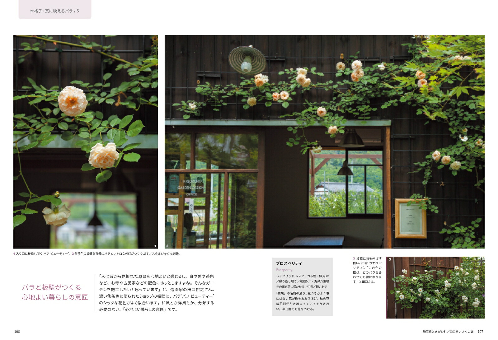 �Х����餹����[Ȭ���]