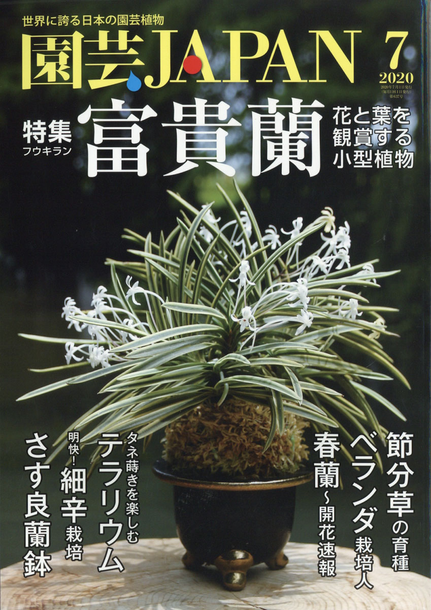 楽天ブックス 園芸japan ジャパン 年 07月号 雑誌 エスプレス メディア出版 雑誌