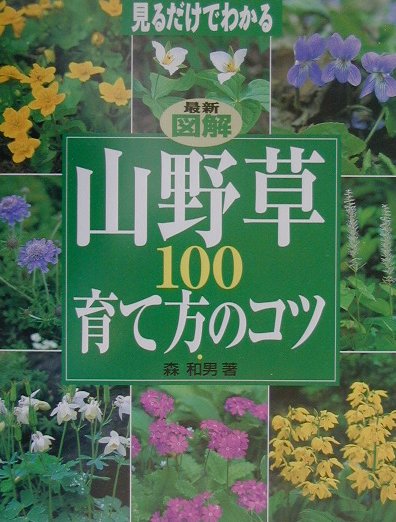 楽天ブックス 最新図解山野草100育て方のコツ 見るだけでわかる 森和男 本