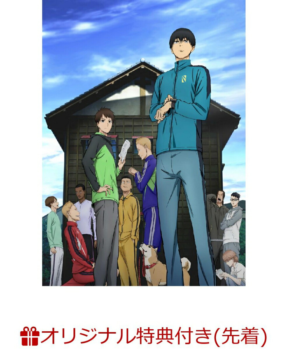 楽天ブックス 楽天ブックス限定先着特典 アニメ 風が強く吹いている Vol 4 Dvd 初回生産限定版 オリジナルマグネットシート 王子付き 野村和也 大塚剛央 Dvd