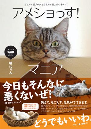 楽天ブックス アメショっす マニア カリスマ猫ブログとカリスマ猫2匹のすべて 桃にゃん 本