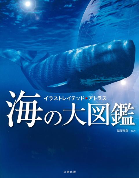 楽天ブックス バーゲン本 海の大図鑑ーイラストレイテッド アトラス 深澤 理郎 本