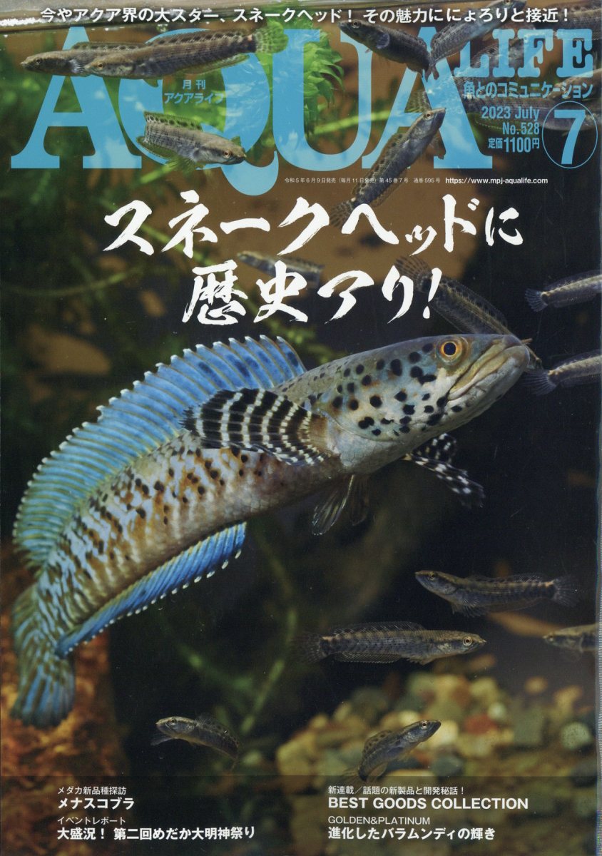 楽天ブックス: 月刊 AQUA LIFE (アクアライフ) 2023年 7月号 [雑誌