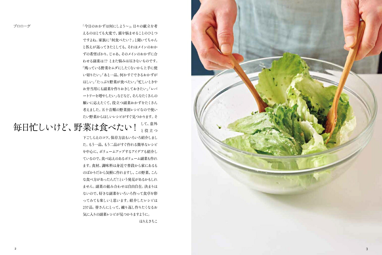 あと一品がすぐできる！おいしい副菜[ほりえさちこ]