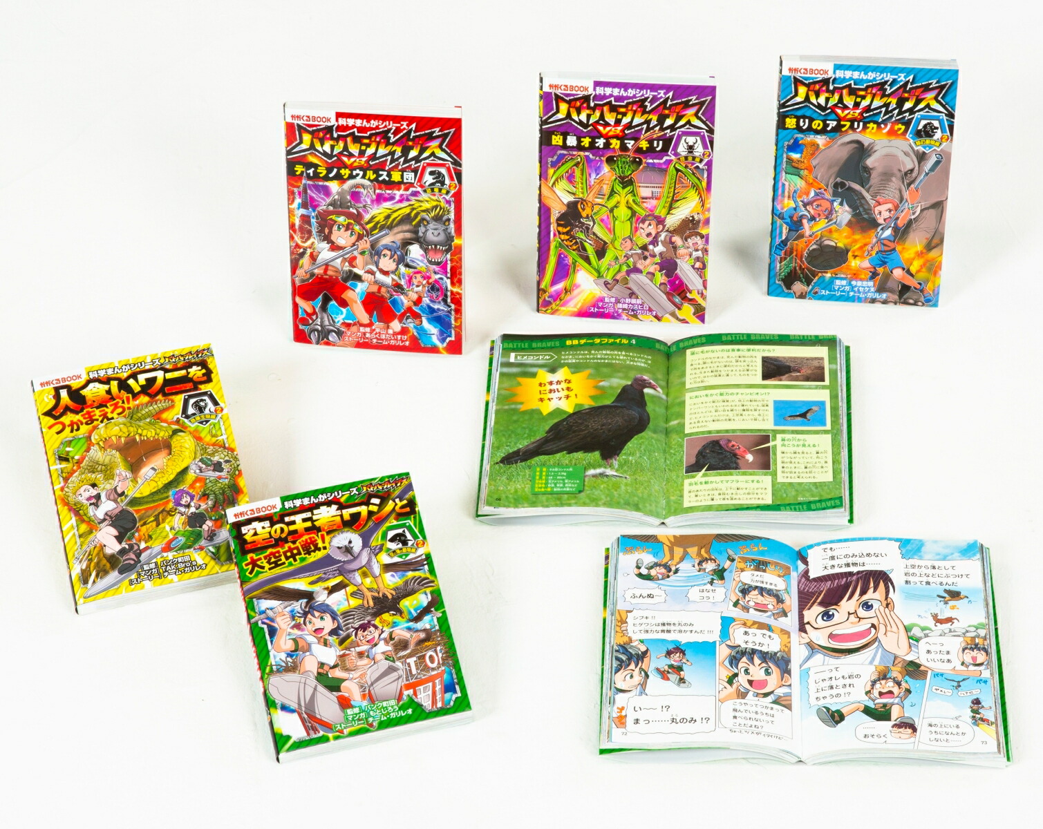 楽天市場】ティビーエス・ブリタニカ ジュニアジャンプ リズム