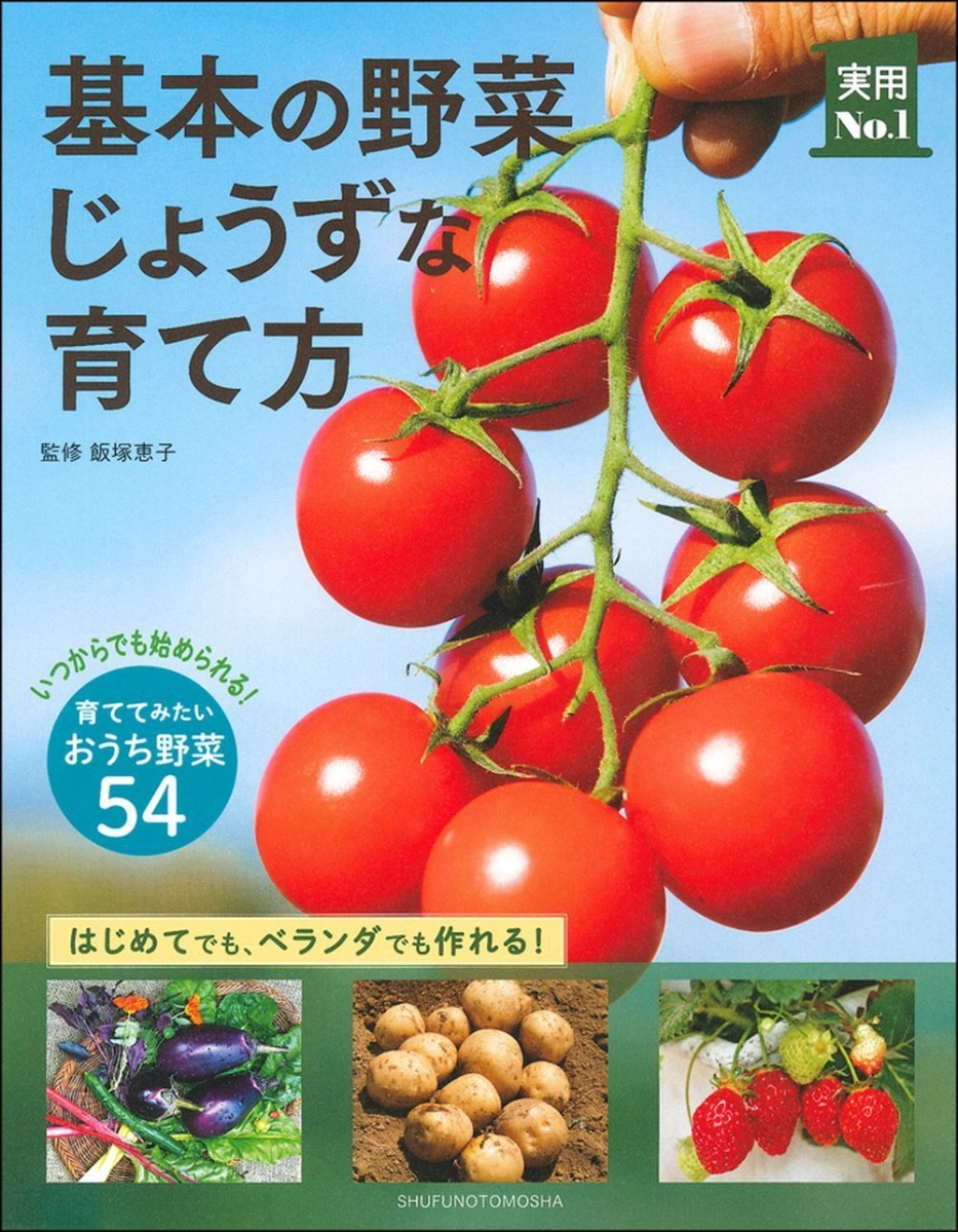 楽天ブックス 基本の野菜じょうずな育て方 飯塚恵子 本