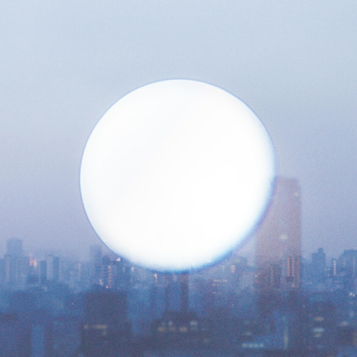 楽天ブックス: 極夜において月は語らず (初回限定盤) - あたらよ
