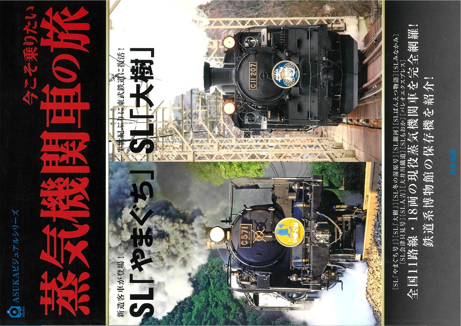 楽天ブックス: 今こそ乗りたい 蒸気機関車の旅 - 9784780100754 : 本