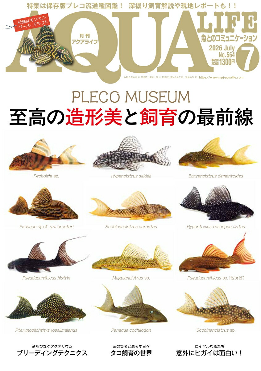 楽天ブックス: 月刊 AQUA LIFE (アクアライフ) 2026年 7月号 [雑誌