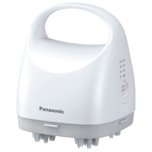 Panasonic NWCF11100CLE1 - www.lingrata.com