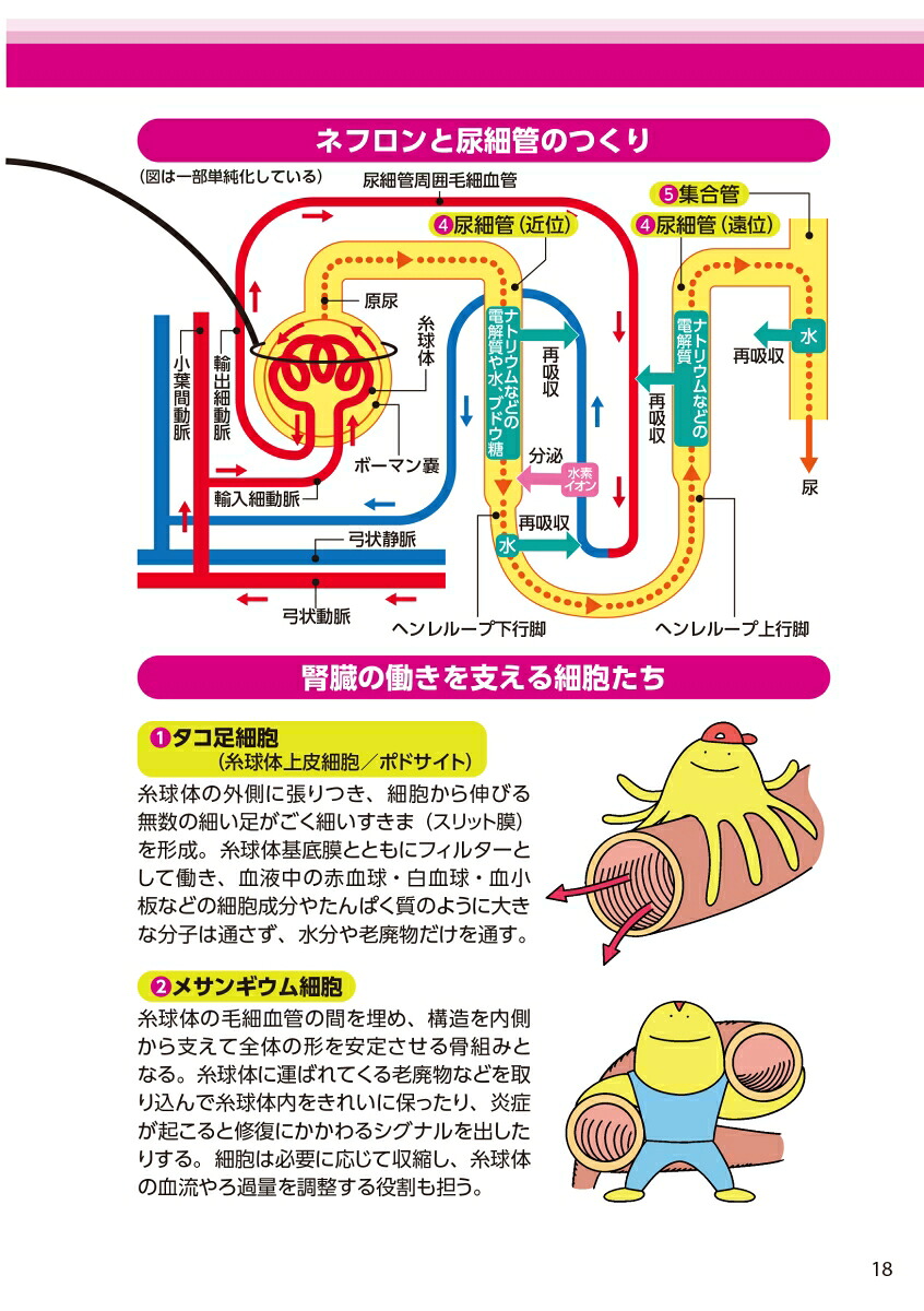 運動を頑張らなくても腎機能がみるみる強まる腎臓体操完全版国立大学教授・腎臓の世界的名医が教える[上月正博]