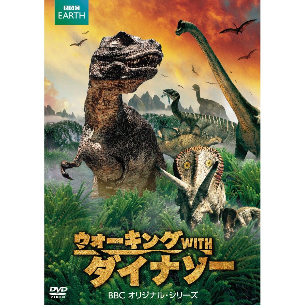 ウォーキング with ダイナソー ＆ モンスター DVD-BOX 2枚組 恐竜 豊富 