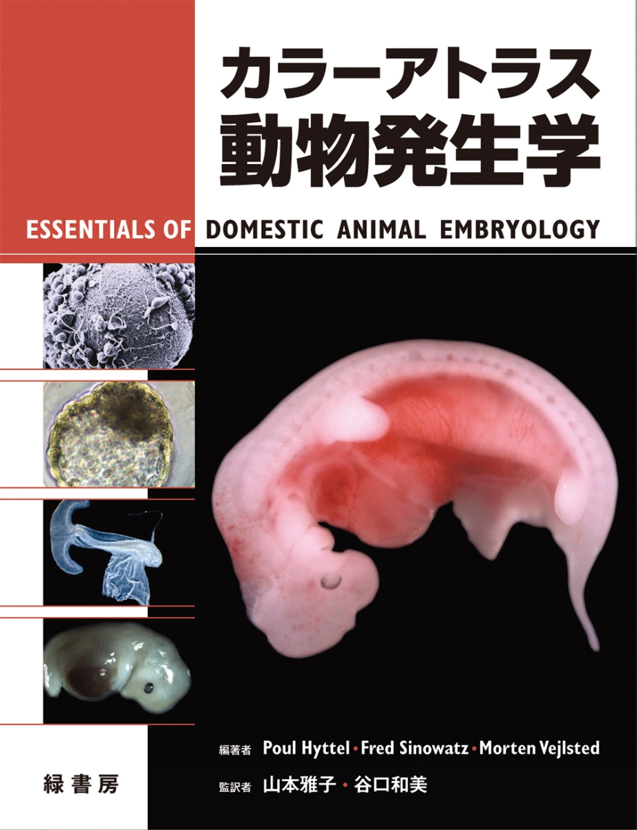 新発生学 = Embryology - 健康・医学