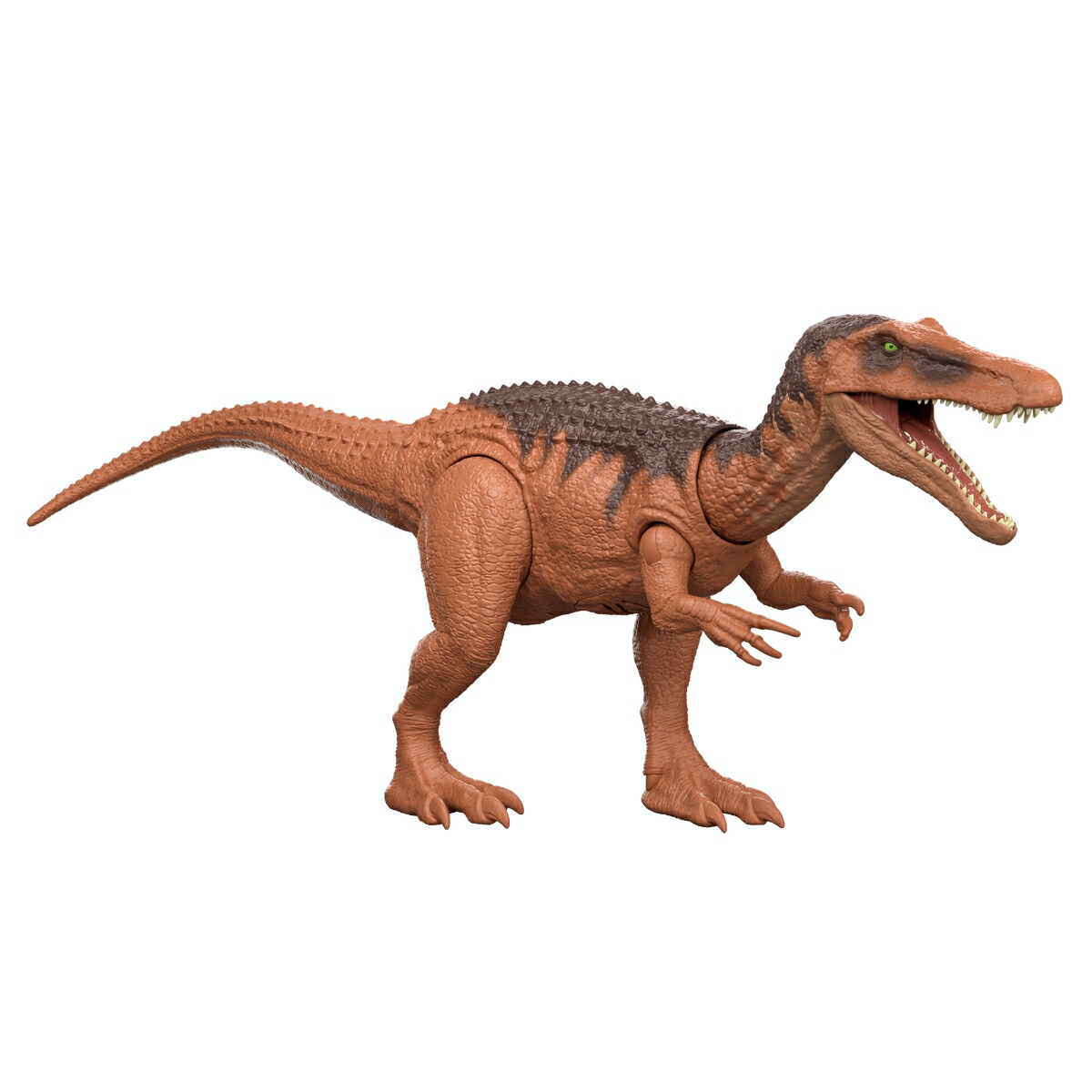 ޥƥ른饷å(JURASSICWORLD)ե奢ۤ롪Хꥪ˥Ҷե奢εĹ:32cm4Ф֥饦JGC79